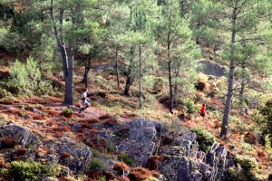 Trail de Brocéliande